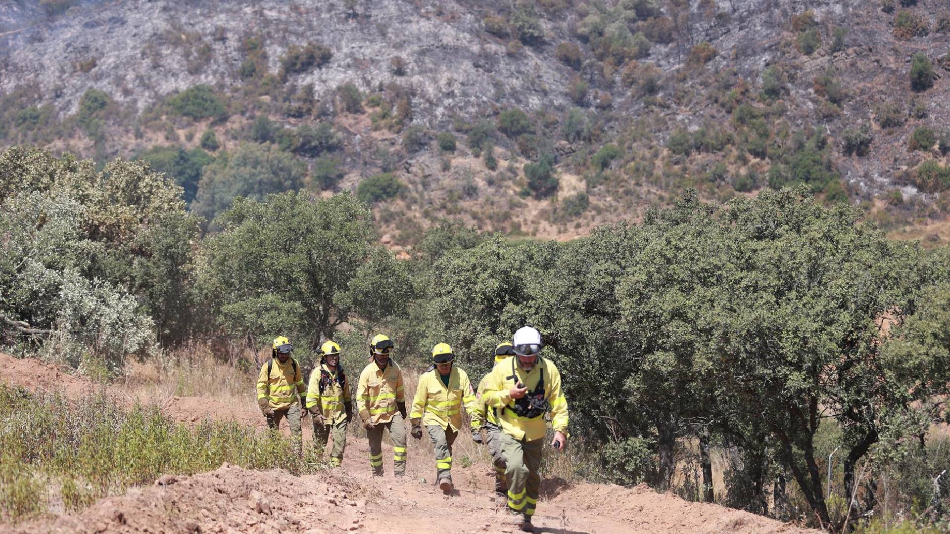 El Valle del Guadiato afronta un final de septiembre con riesgo extremo de incendios forestales