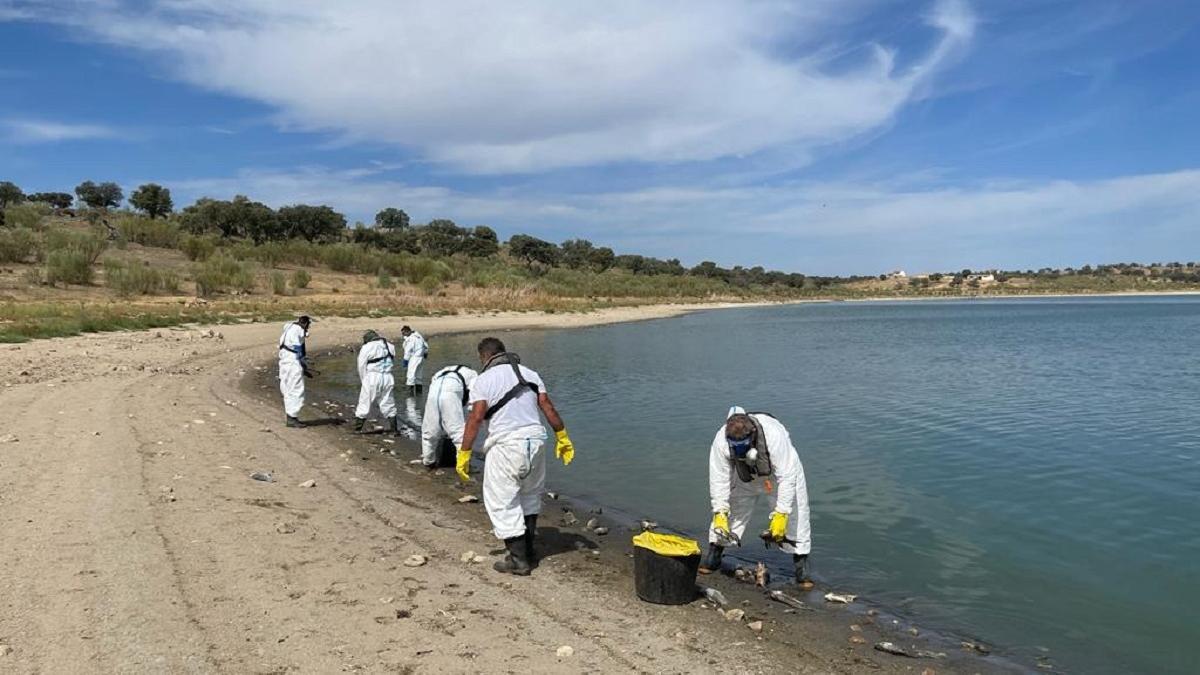 La Confederación del Guadiana identifica los residuos ganaderos como principal foco de contaminación del embalse de La Colada
