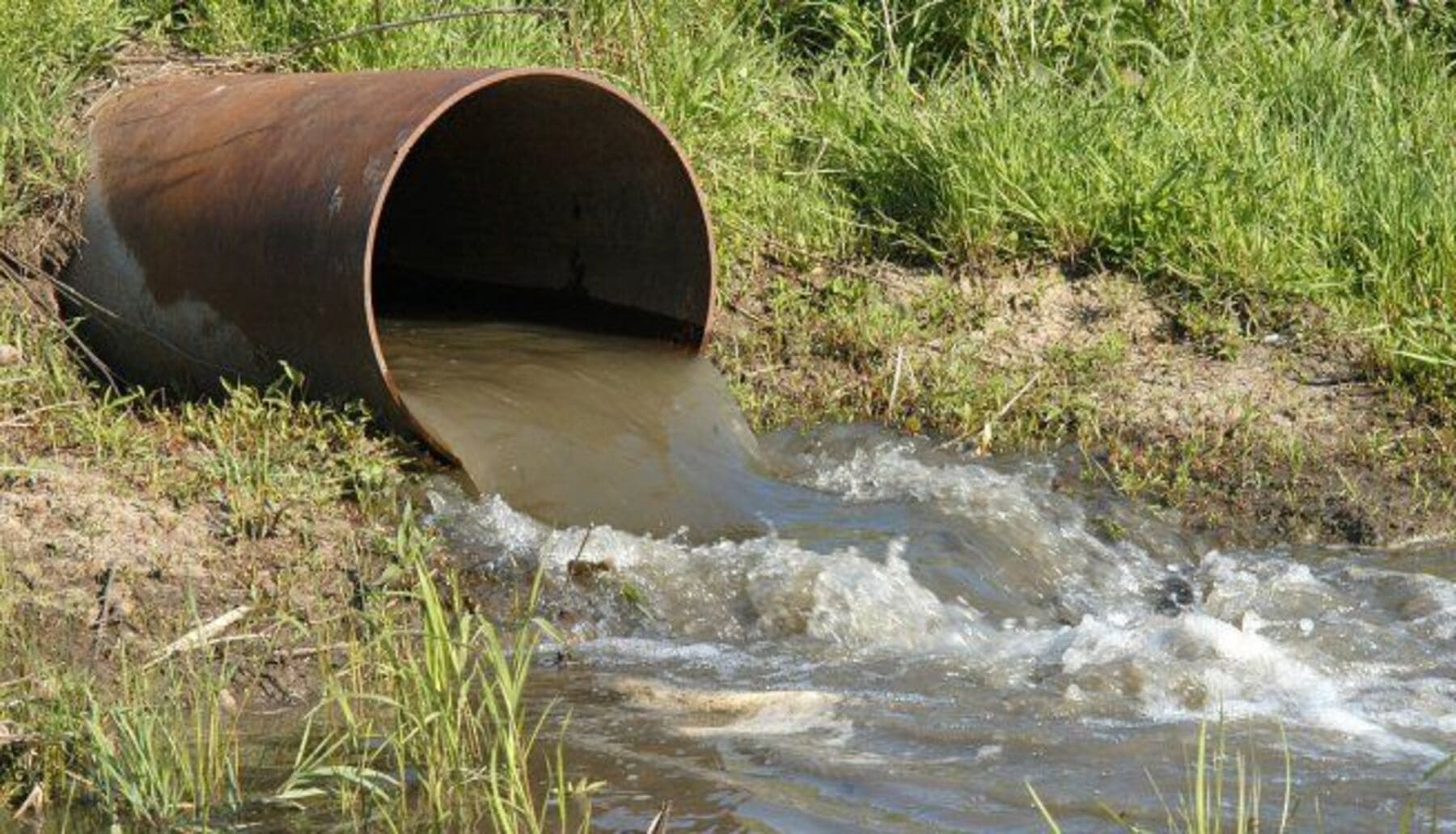 La contaminación de La Colada llega a la Guardia Civil y la Fiscalía tras detectarse niveles extremos de fosfatos y amonio