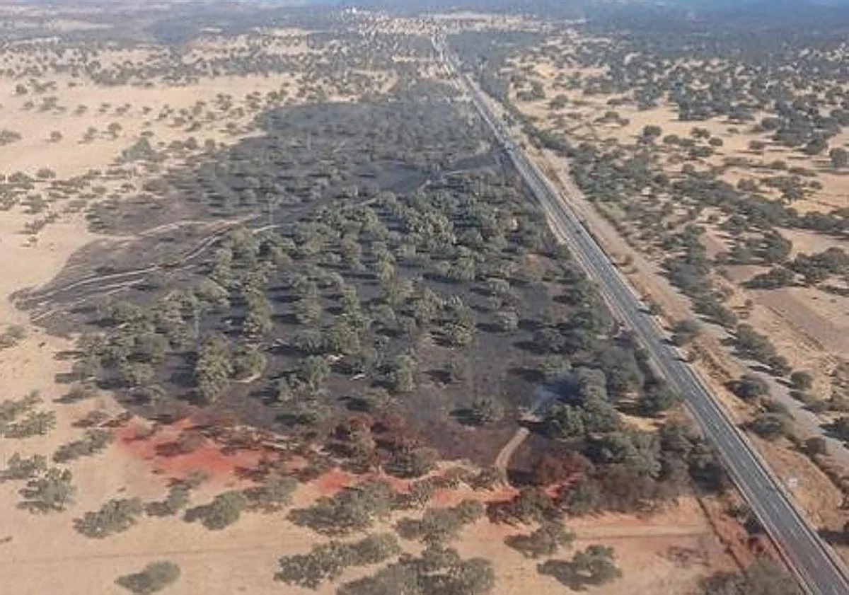 Un vehículo incendiado en la N-432 moviliza un amplio dispositivo para evitar que el fuego alcance el monte en El Vacar